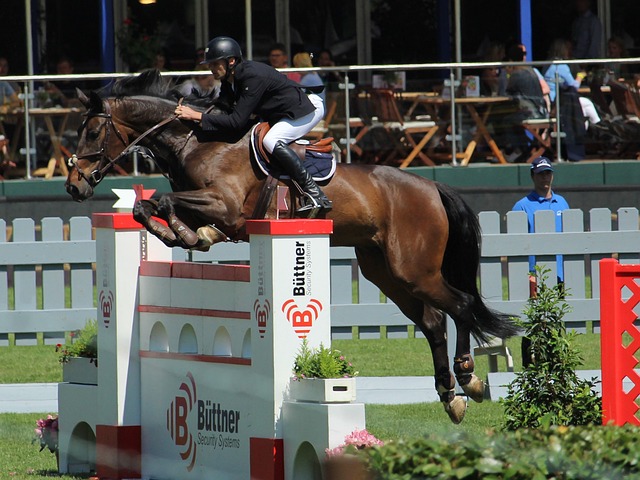 主优化词：米德尔斯堡主场坚若磐石，豪取四连胜